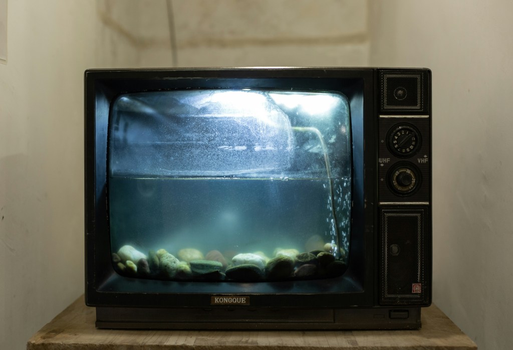 tv 어항