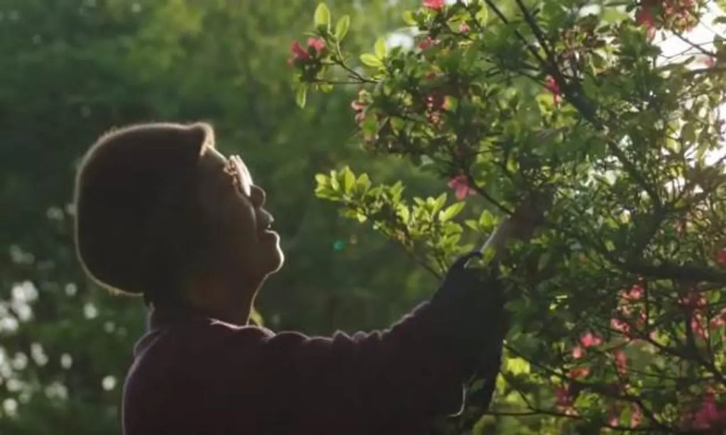 앙 단팥 인생 이야기의 도쿠에