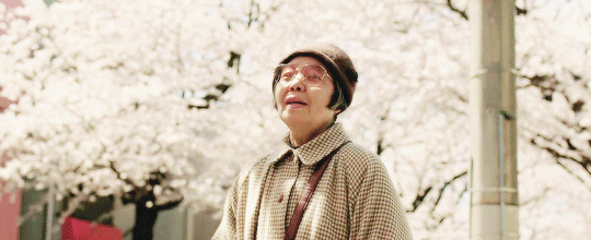 앙 단팥 인생 이야기 벚꽃 움짤