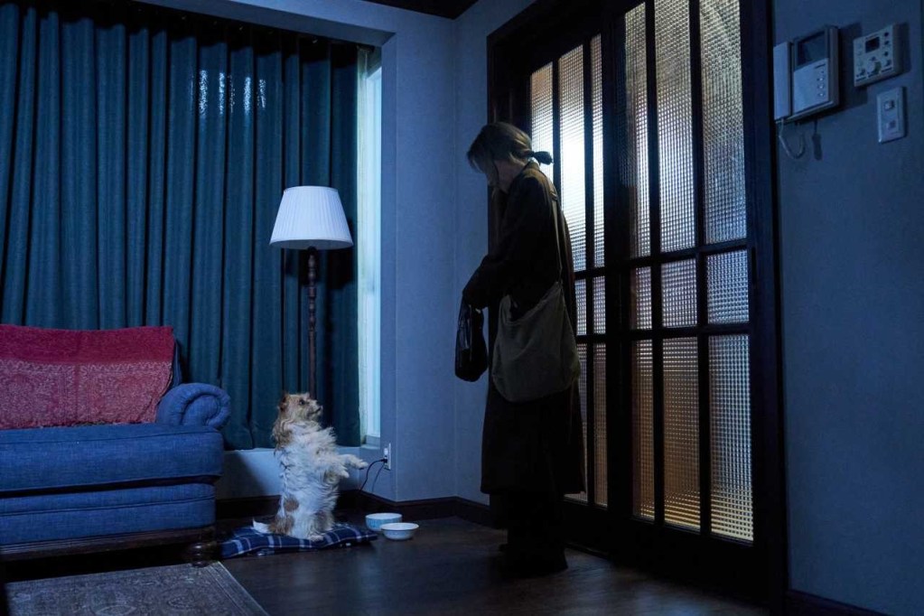 파과 강아지 무용